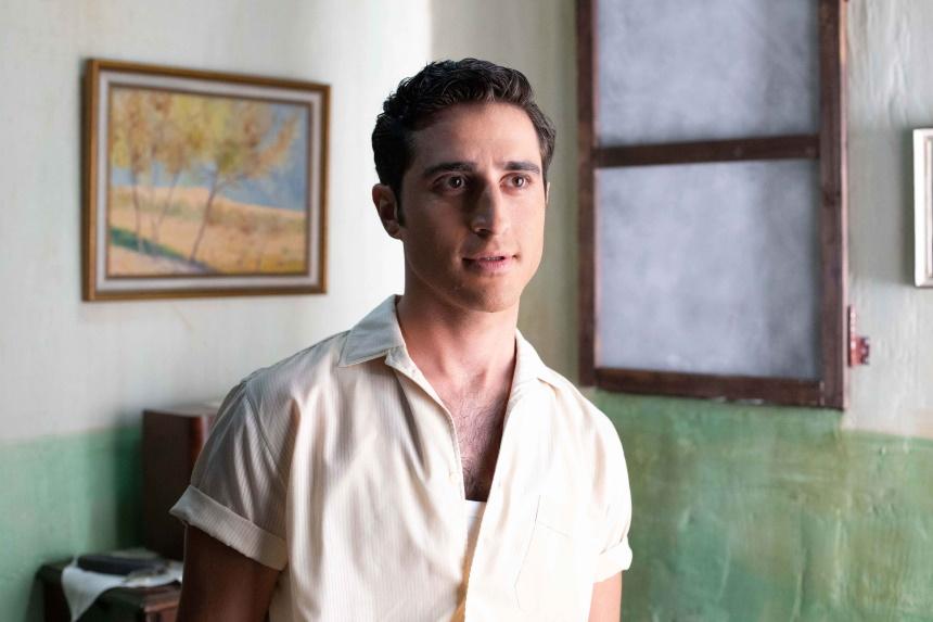 Άγριες Μέλισσες: