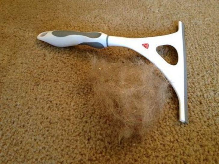 έξυπνο κόλπο-για-τις-τρίχες-των-κατοικίδιων-