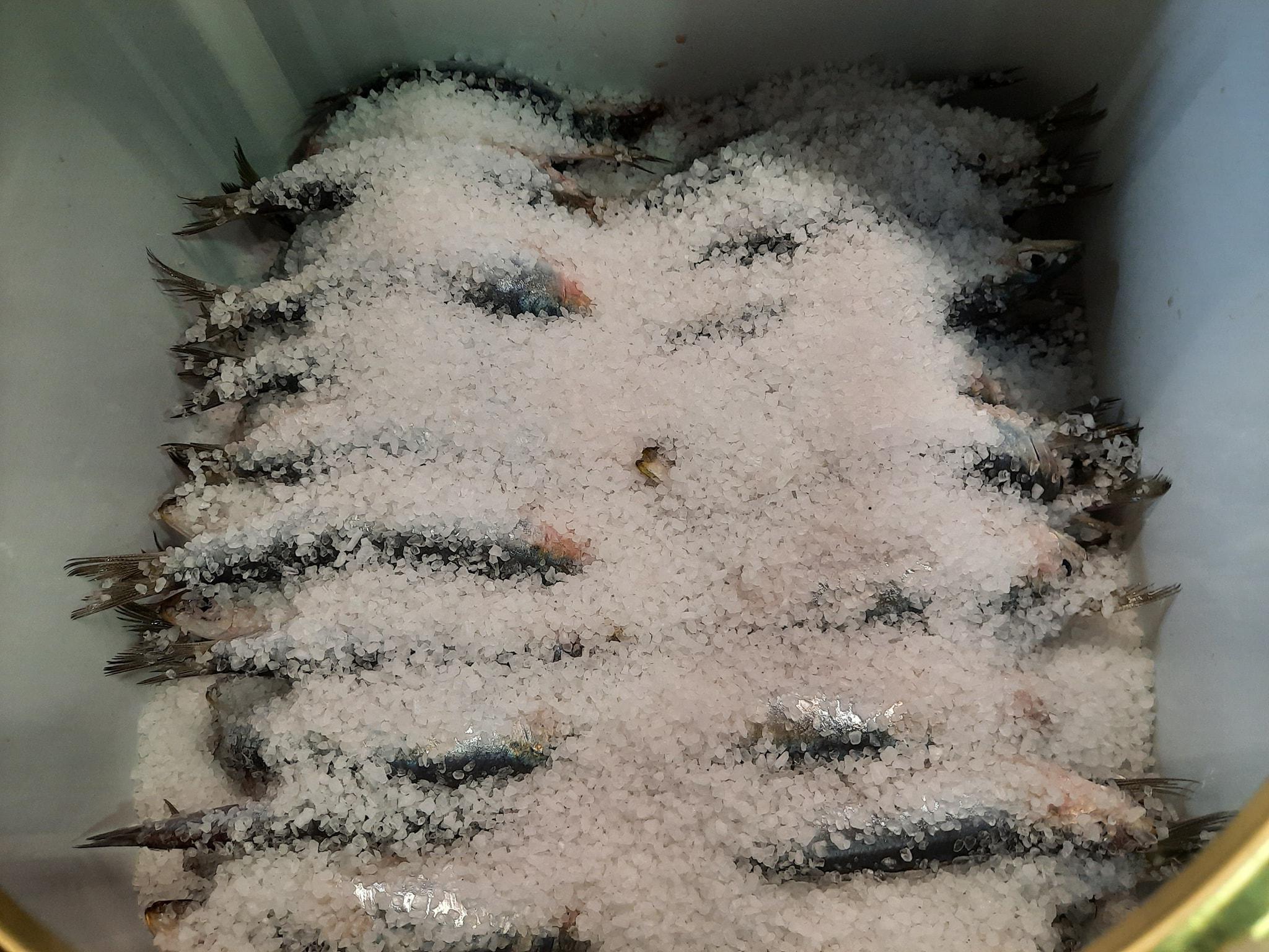 παστές-σαρδέλες-συνταγή-