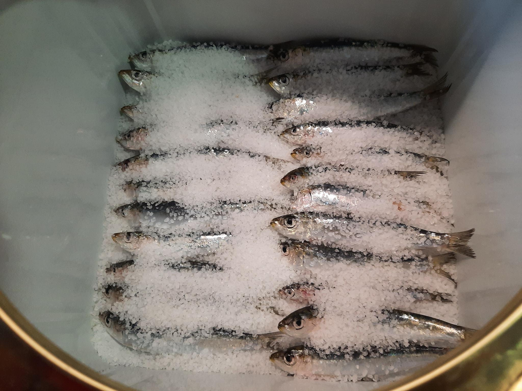 παστές σαρδέλες-συνταγή-