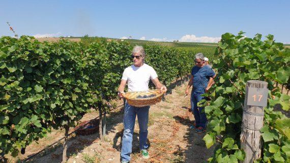 Ο «Ριτζ Φόρεστερ» στα 69 του χρόνια είναι κούκλος και μαζεύει σταφύλια στη Βουλγαρία! (εικόνες)