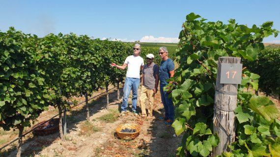 Ο «Ριτζ Φόρεστερ» στα 69 του χρόνια είναι κούκλος και μαζεύει σταφύλια στη Βουλγαρία! (εικόνες)