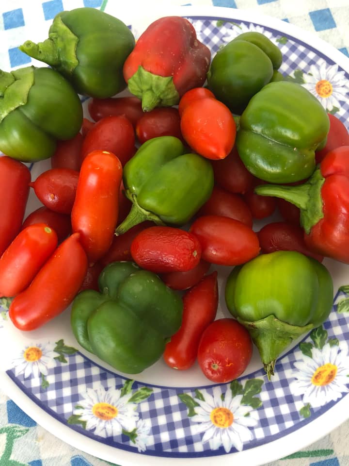 Πηλιορείτικο σπετζοφάι-με-μακαρονια-