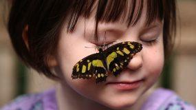 Φαινόμενο της πεταλούδας ή butterfly effect: Αληθινές Ιστορίες