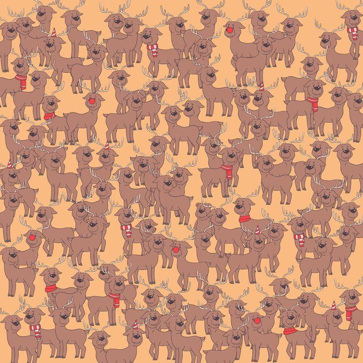 τεστ παρατηρητικότητας-βρείτε-τα-κρυμμένα-αντικείμενα-