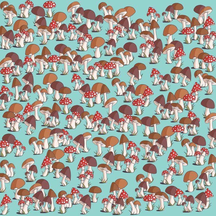 τεστ παρατηρητικότητας-βρείτε-τα-κρυμμένα-αντικείμενα-