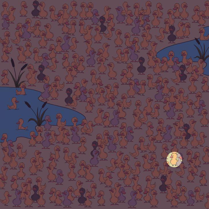 τεστ παρατηρητικότητας-βρείτε-τα-κρυμμένα-αντικείμενα-