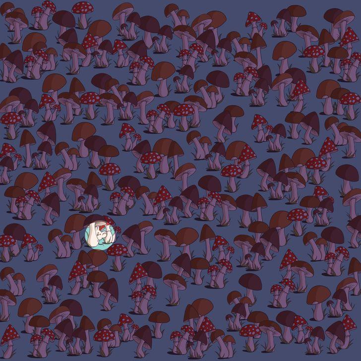 τεστ παρατηρητικότητας-βρείτε-τα-κρυμμένα-αντικείμενα-