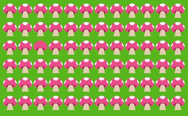 τεστ-παρατηρητικότητας-βρες-τις-λεπτομέρειες-σε-10-εικόνες-