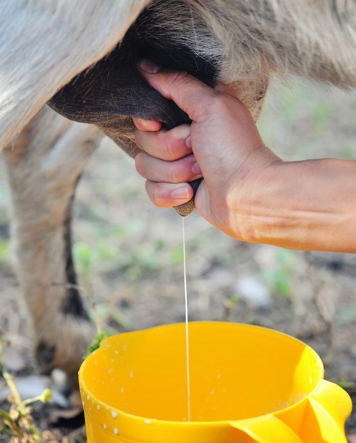 μυστικά ομορφιάς-από-την-Ινδονησία-που-βοηθούν-στη-διατήρηση-της-νεανικότητας-