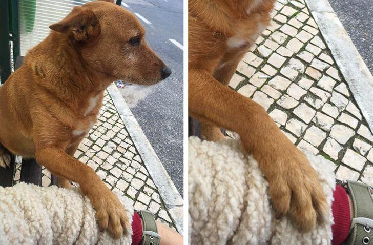 18-γλυκές-εικόνες-από-το-διαδίκτυο-