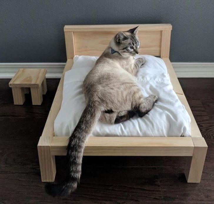 18-γλυκές-εικόνες-από-το-διαδίκτυο-