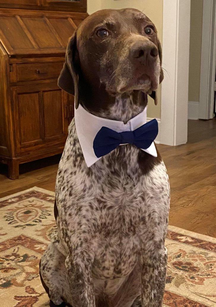 18-γλυκές-εικόνες-από-το-διαδίκτυο-