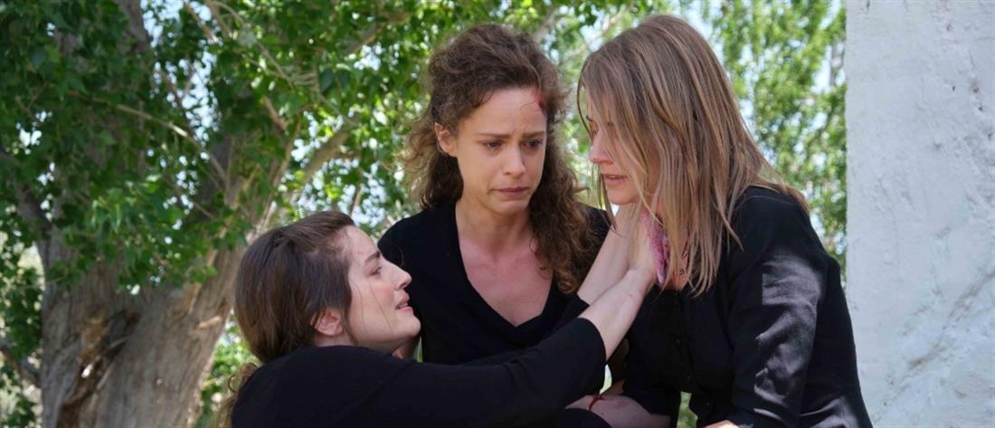 Άγριες Μέλισσες: Ο Μελέτης βρίσκει τον Κωνσταντή ετοιμοθάνατο