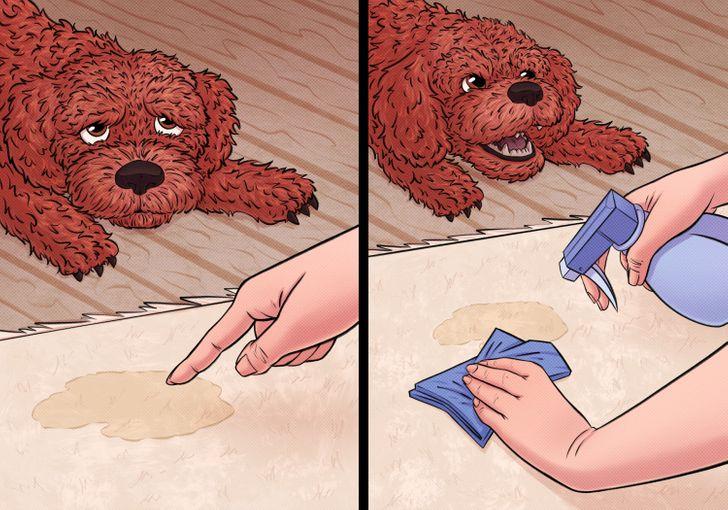 έξυπνα-κόλπα-με-καθημερινά αντικείμενα-που-θα-σας-λύσουν-τα-χέρια-