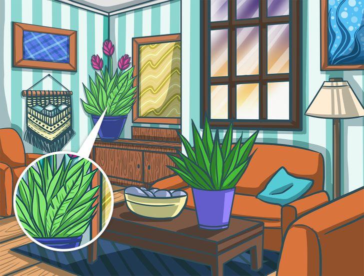 τεστ-παρατηρητικότητας-με-κρυμμένα-αντικείμενα-