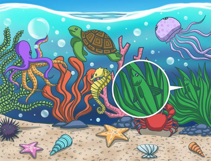 τεστ-παρατηρητικότητας-με-κρυμμένα-αντικείμενα-