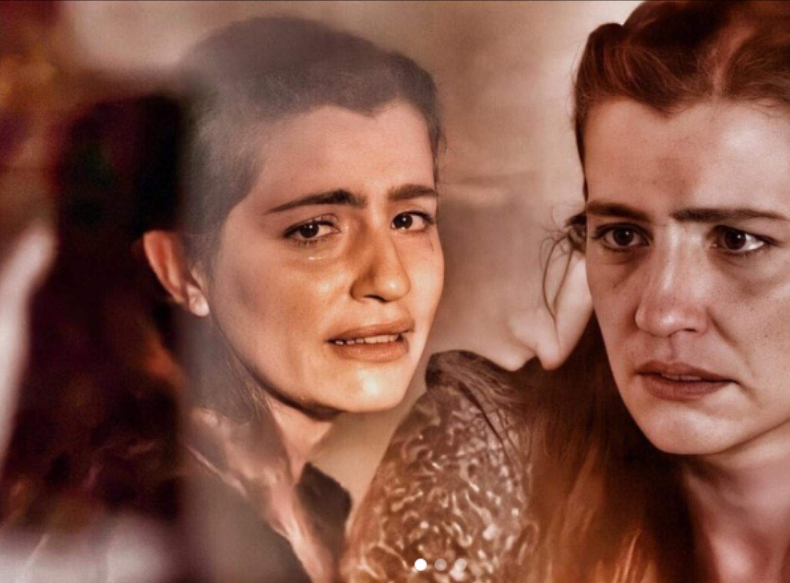 Άγριες Μέλισσες: H Ελένη θυσιάζει τη ζωή της για να σώσει το Λαμπρό