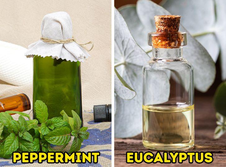 φυσικοί-τρόποι-για-να-αντιμετωπίσετε-το-μπούκωμα-στην-μύτη- φυσικοί-τρόποι-για-να-αντιμετωπίσετε-το-μπούκωμα-στην-μύτη-