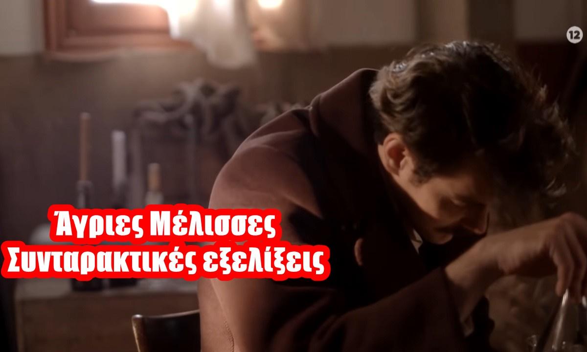 Άγριες μέλισσες: Αρχίζει η αντίστροφή μέτρηση- Ο Κωνσταντής πεθαίνει;