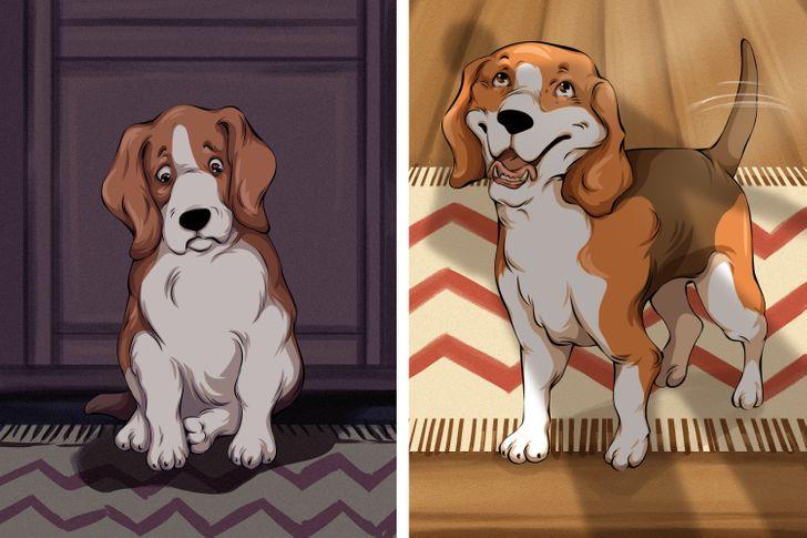 φωτογραφίες-για-το-νόημα-της-ζωής-