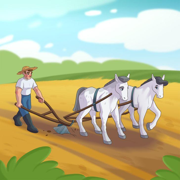 test-παρατηρητικότητας-βρες-τα-λάθη-