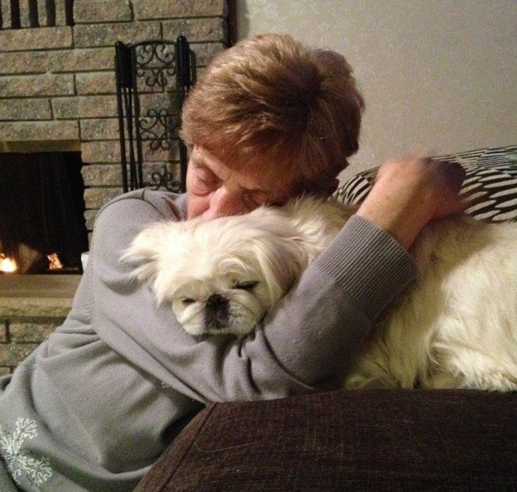 συγκινητικές-φωτογραφίες-