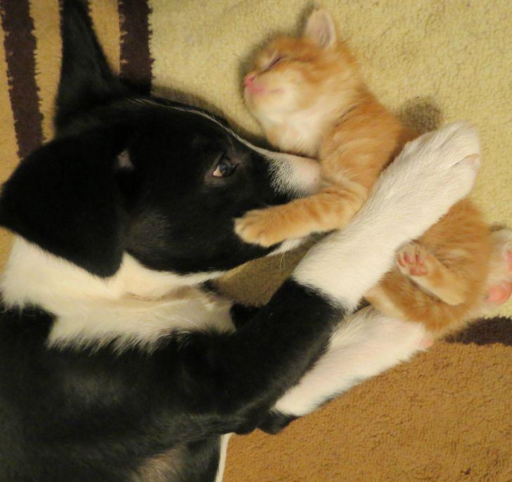 συγκινητικές-φωτογραφίες-