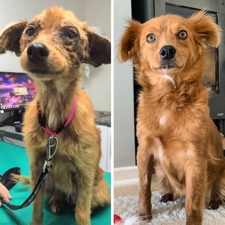 συγκινητικές-φωτογραφίες-