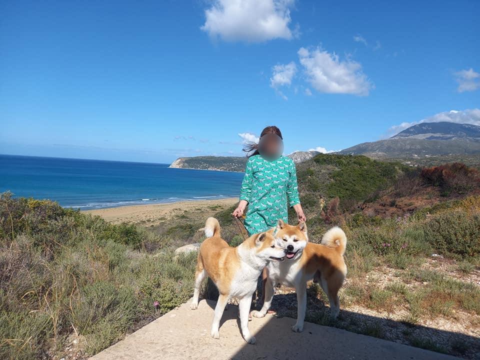 Πυροβολισμός Χαλάνδρι : Ποια είναι η εικαστικός που πυροβόλησε τον οφθαλμίατρο ;
