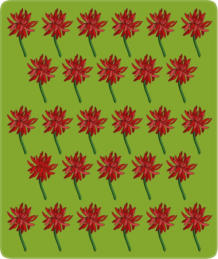 11-τεστ-παρατηρητικότητας-