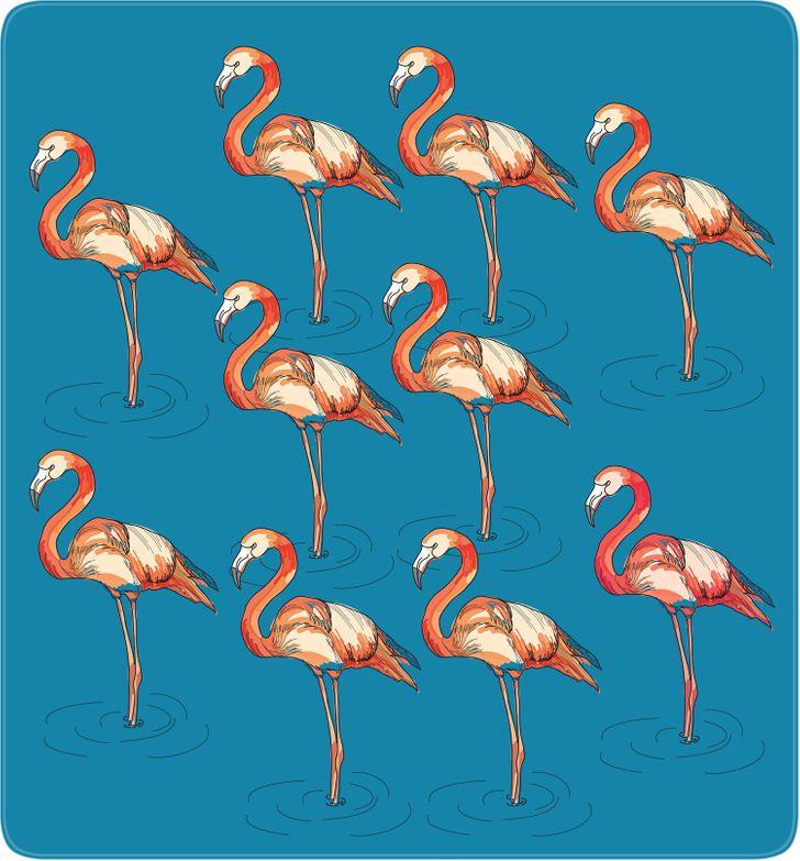 11-τεστ-παρατηρητικότητας-