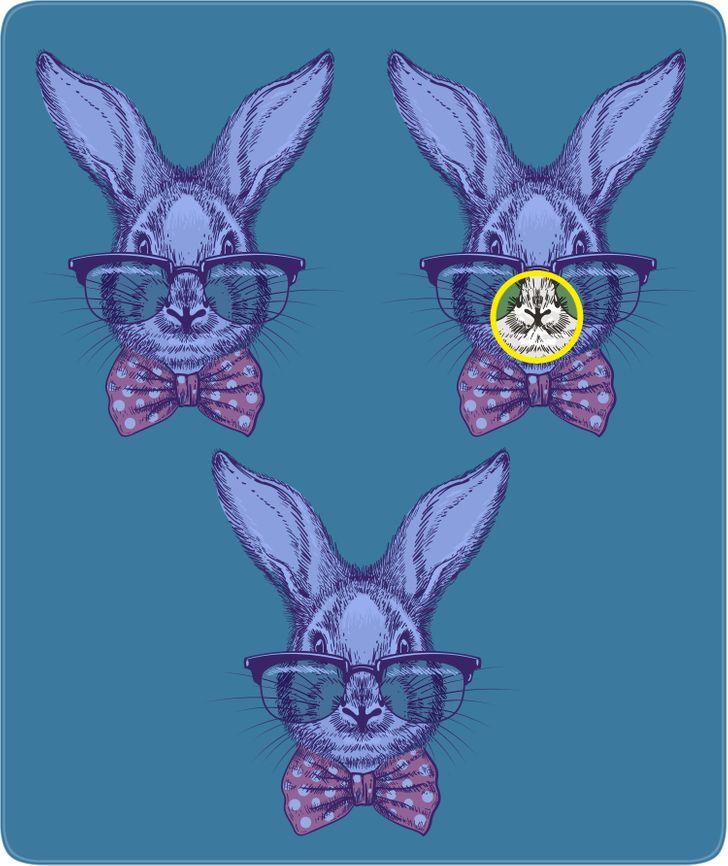 11-τεστ-παρατηρητικότητας-