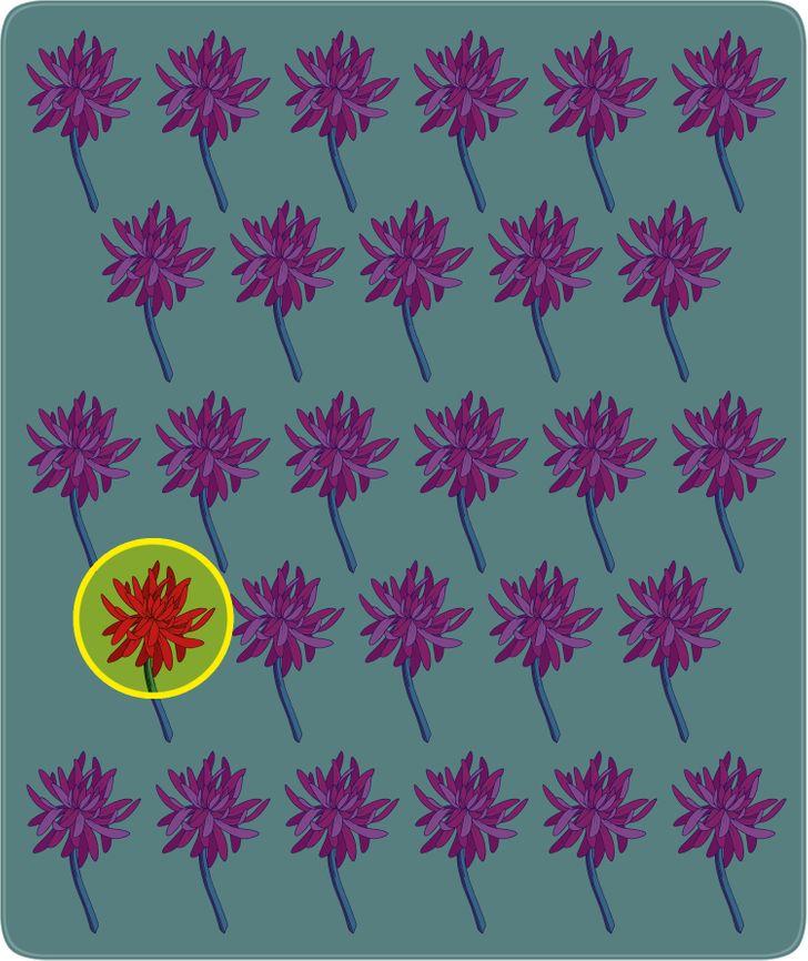 11-τεστ-παρατηρητικότητας-