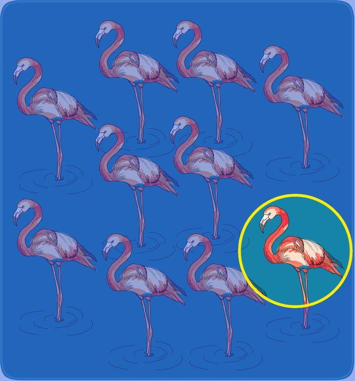 11-τεστ-παρατηρητικότητας-