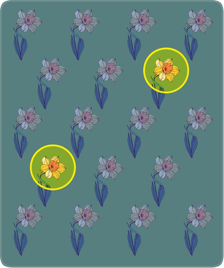 11-τεστ-παρατηρητικότητας-