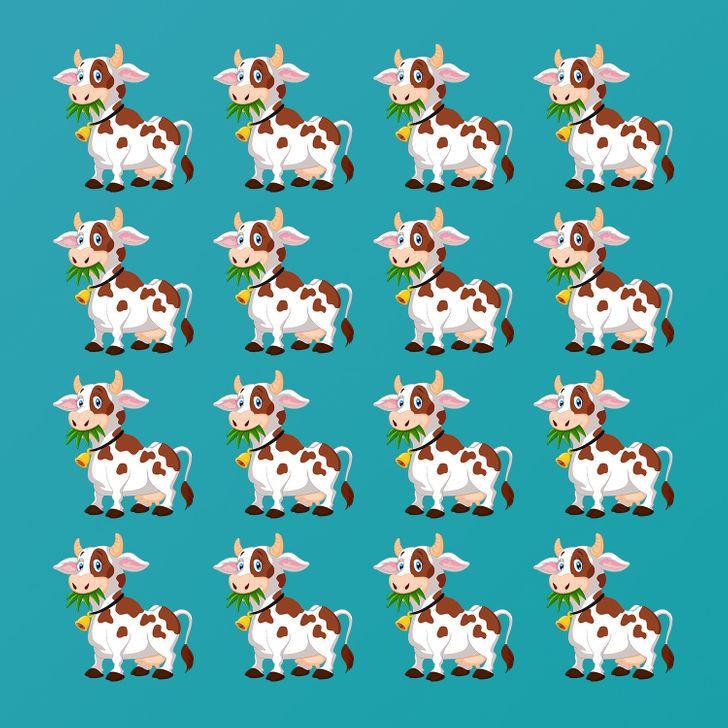 τεστ-παρατηρητικότητας-