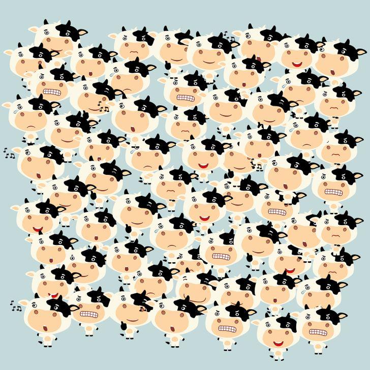 τεστ-παρατηρητικότητας-