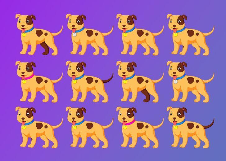 τεστ-παρατηρητικότητας-