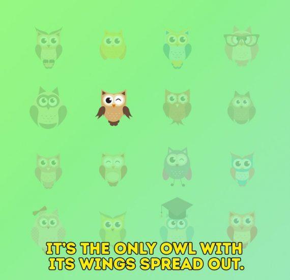 τεστ-παρατηρητικότητας-