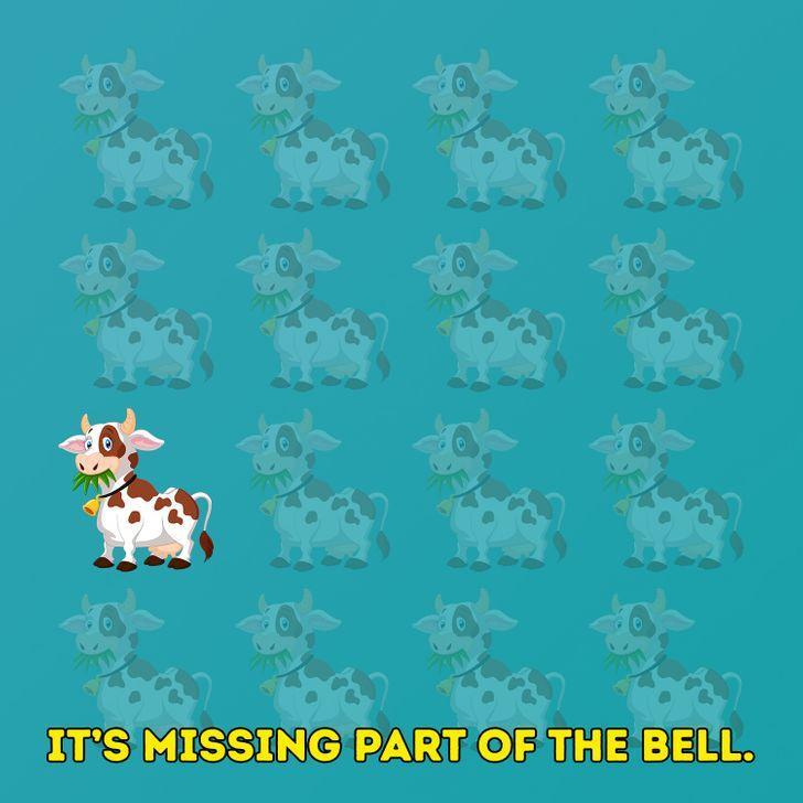 τεστ-παρατηρητικότητας-