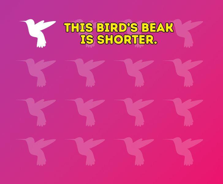 τεστ-παρατηρητικότητας-