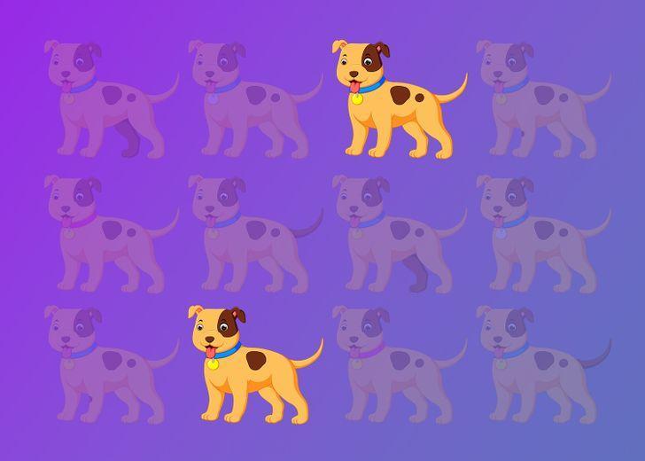 τεστ-παρατηρητικότητας-