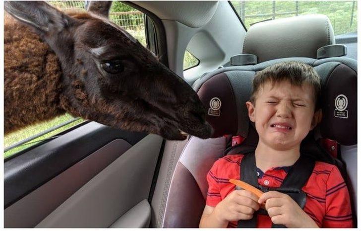 αστείες-εικόνες-με-παιδιά-