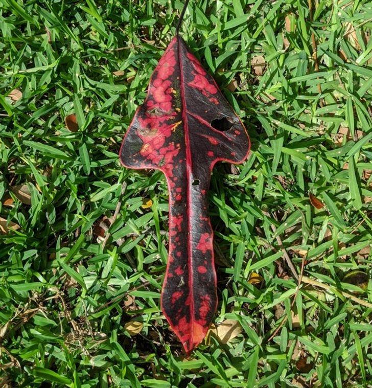 23-παράξενες-φωτογραφίες- 23-παράξενες-φωτογραφίες-