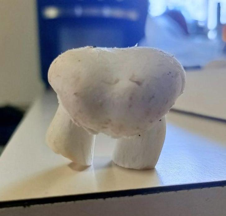 23-παράξενες-φωτογραφίες- 23-παράξενες-φωτογραφίες-