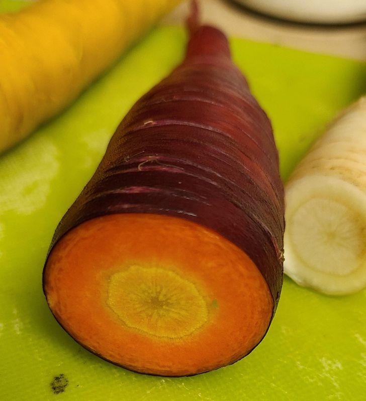 23-παράξενες-φωτογραφίες- 23-παράξενες-φωτογραφίες-