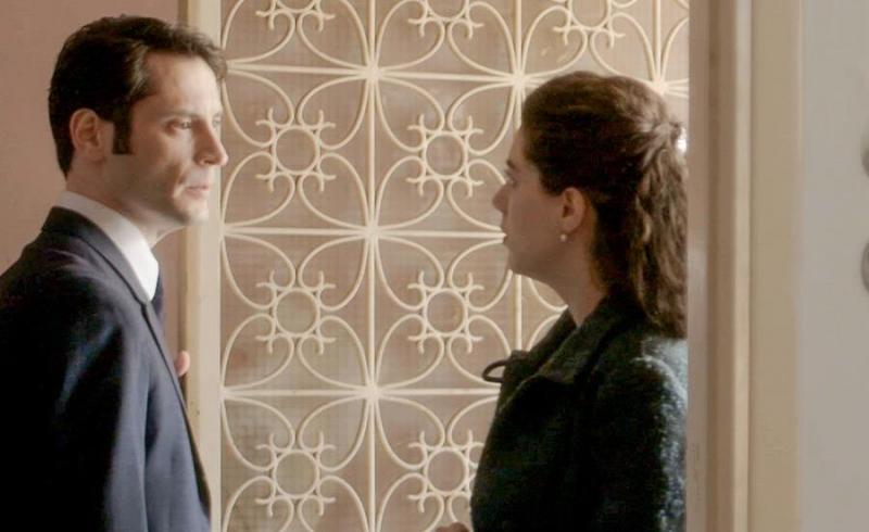 Άγριες μέλισσες: Το Διαφάνι γίνεται πεδίο μάχης