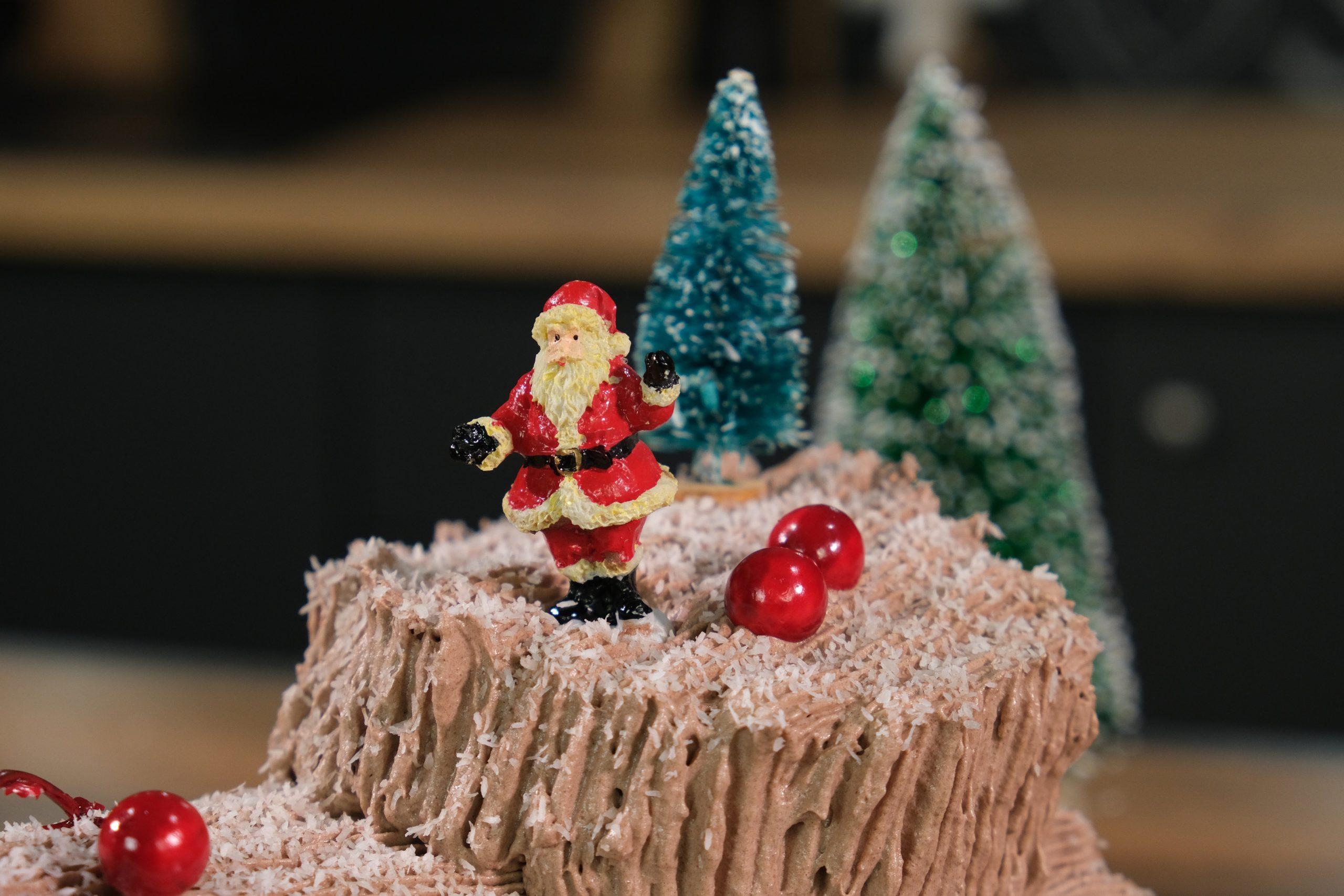 Χριστουγεννιάτικος- κορμός- του- Παναγιώτη- Παπαδάκη-