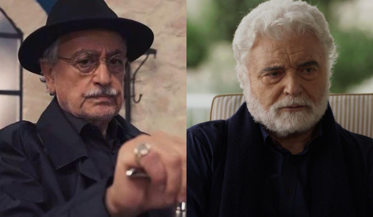 Η Γη της ελιάς: Το μυστικό που κρύβουν τα δαχτυλίδια των Βρεττάκων